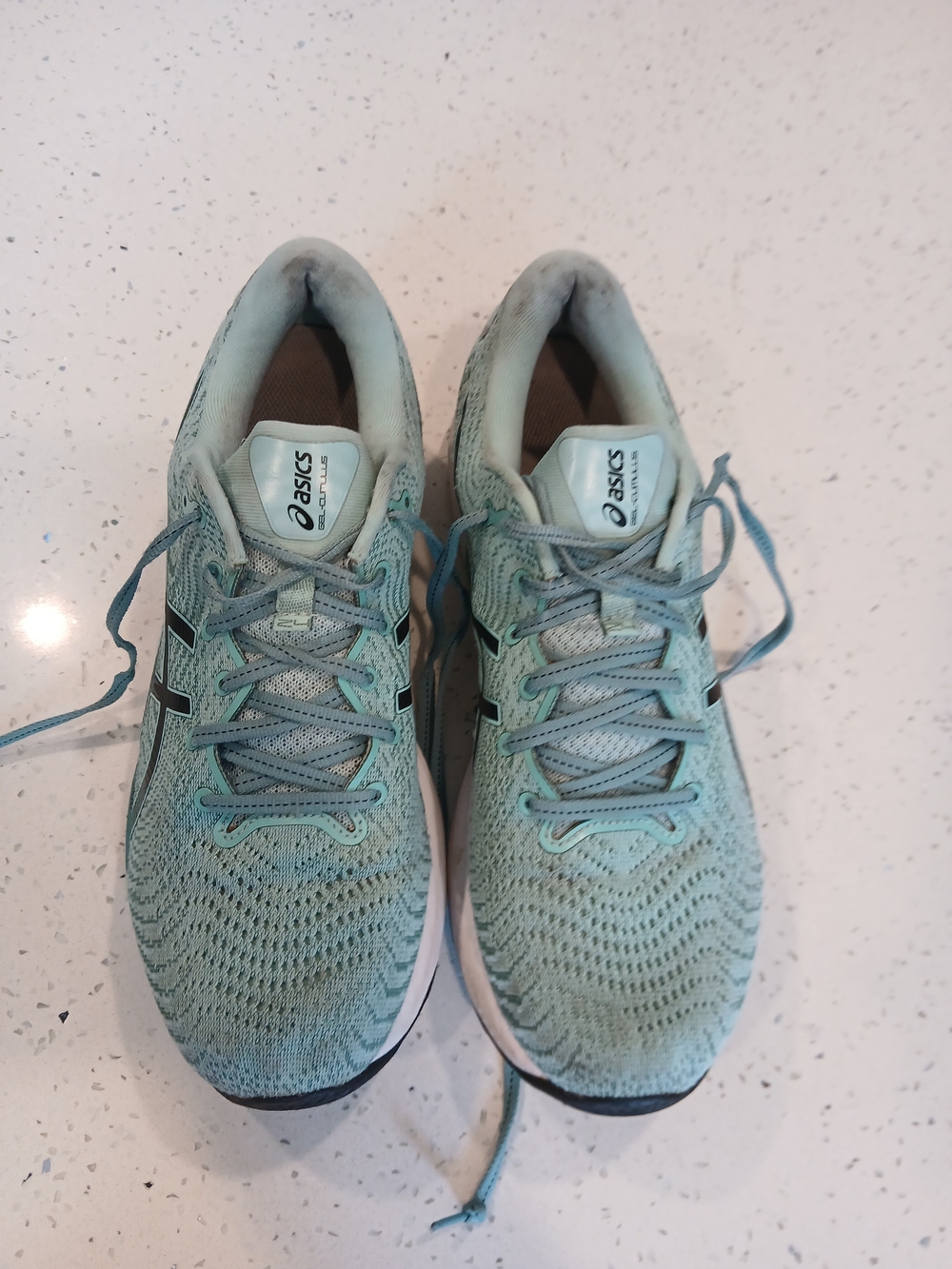 Size 11 - Asics Gel Cumulus 24 Oasis Green W